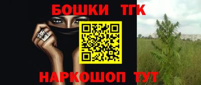 spice Камышлов