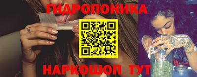 spice Камышлов